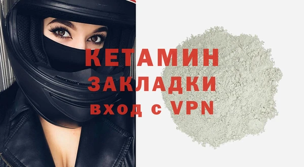 прущие грибы Ельня