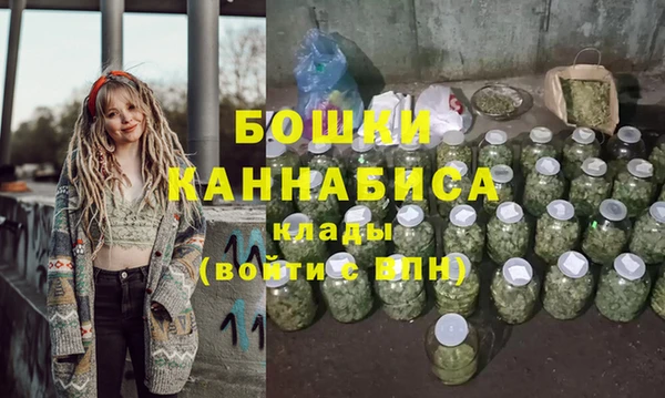 прущие грибы Ельня