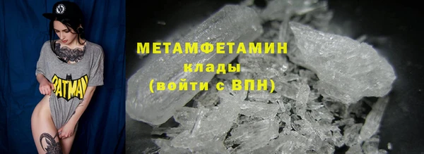 прущие грибы Ельня