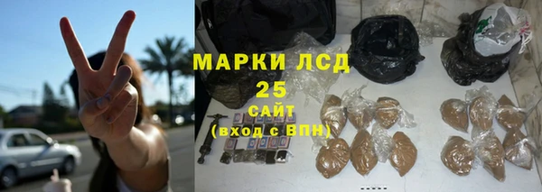 прущие грибы Ельня