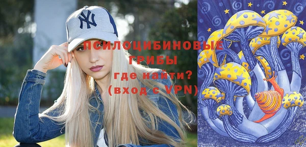трава Елабуга