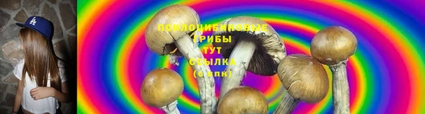 прущие грибы Ельня