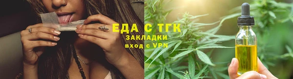 прущие грибы Ельня