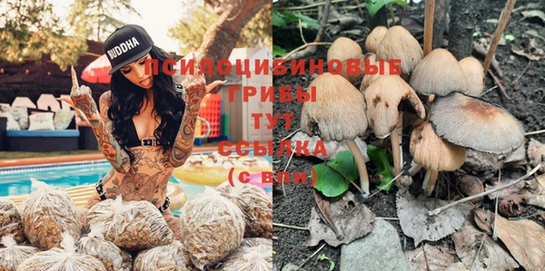 трава Елабуга