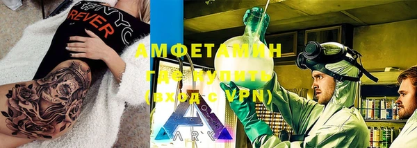 прущие грибы Ельня