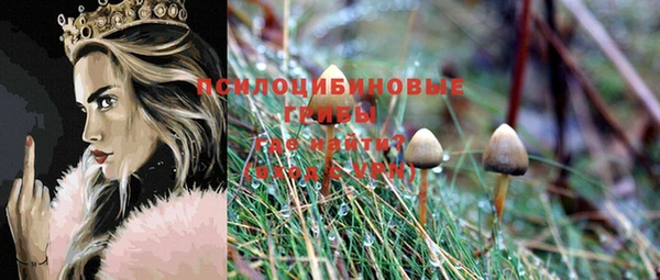 a pvp Елизово
