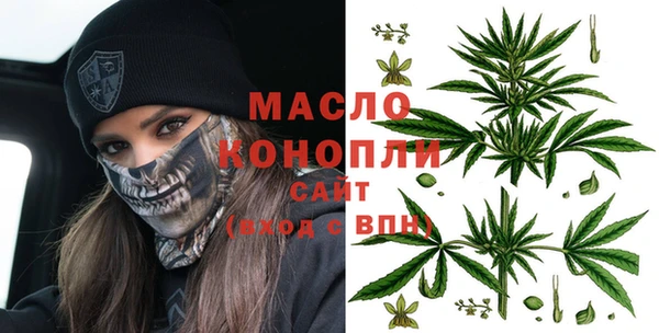 прущие грибы Ельня