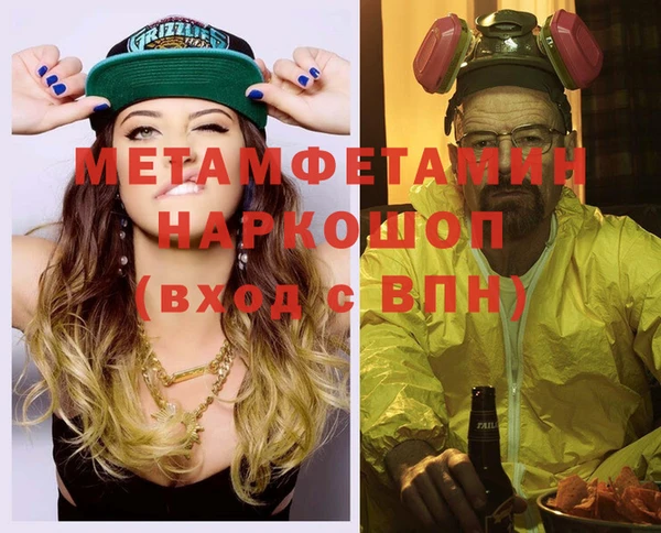 прущие грибы Ельня