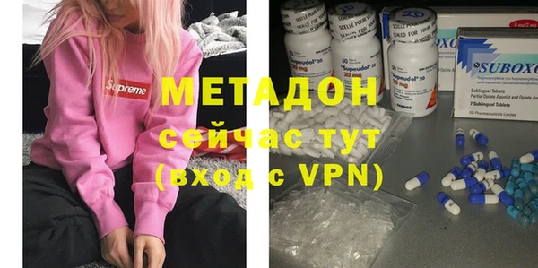 прущие грибы Ельня