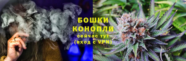 прущие грибы Ельня