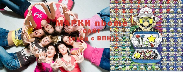 прущие грибы Ельня