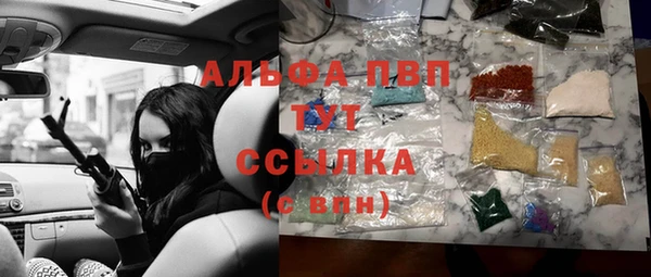 прущие грибы Ельня