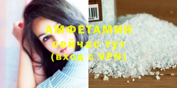 прущие грибы Ельня