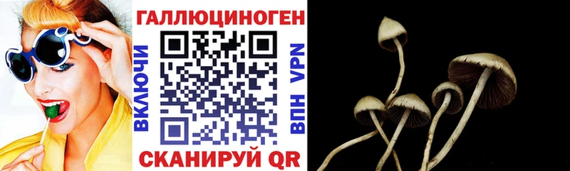 где продают   Ершов  Галлюциногенные грибы ЛСД 