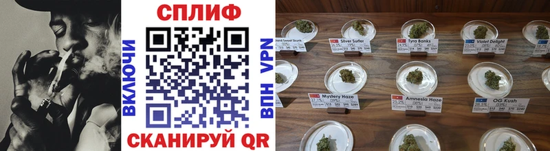 купить наркотики сайты МЕГА онион Канабис Amnesia Ершов